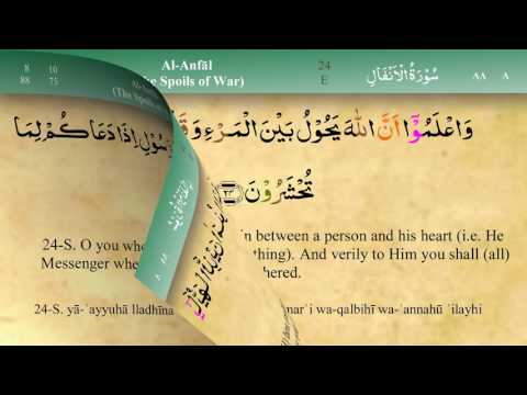 008 Surah Al Anfal with Tajweed by Mishary Al Afasy (iRecite)