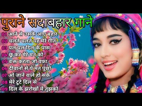 Superhit Song of Lata Mangeshkar & Mohammad Rafi ||  || Asha Bhosle || Kisore Kumar || Old is Gold