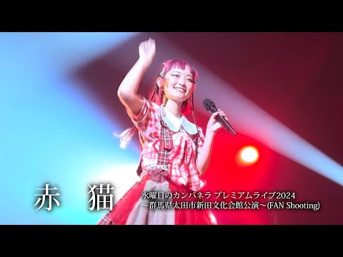 【赤猫】水曜日のカンパネラ プレミアムライブ2024(FAN Shooting)