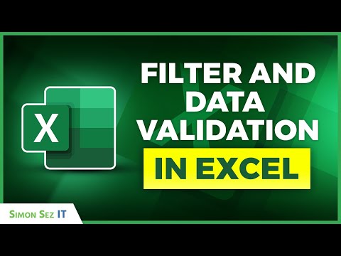 Importing and Formatting Data in Excel: Filter and Data Validation