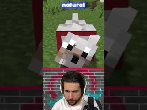 Normal vs Realistic Minecraft