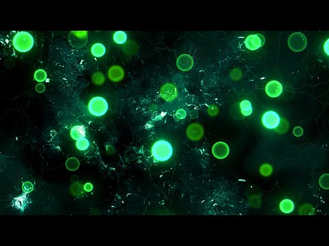 Green Particles and Textures Background video | Footage | Screensaver