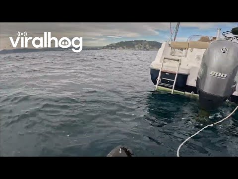 Towed Kayaker Loses All His Fishing Gear || ViralHog