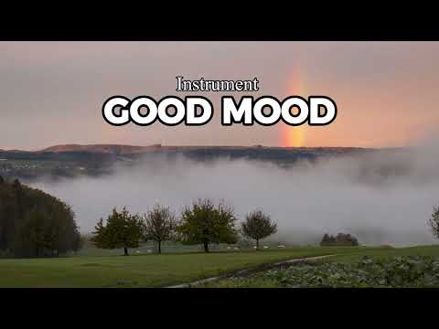 cool morning atmosphere | Instrument