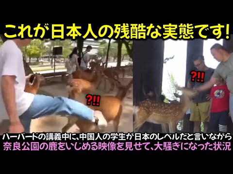 ハーバードの講義中に、中国人の学生が日本のレベルだと言いながら奈良公園の鹿をいじめる映像を見せて、大騒ぎになった状況