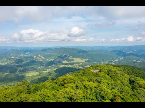 Premier NC Mountain Estate Sized Homesite Big Tree