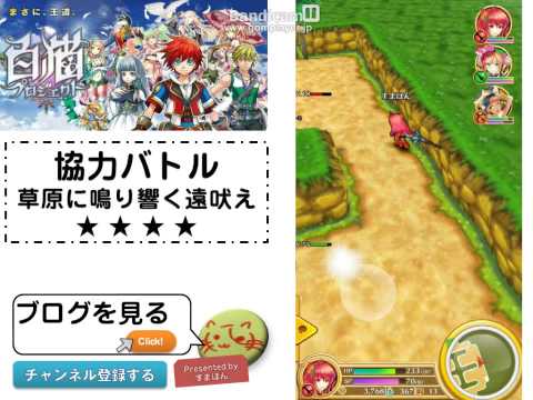 【白猫プロジェクト】協力バトル　★4　草原に鳴り響く遠吠え　ノーコン攻略動画