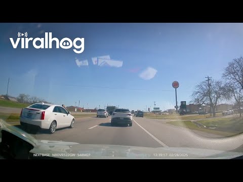 Truck Driver Pulled Over For Driving on Shoulder || ViralHog