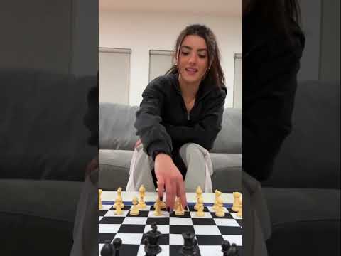 The Cat's Gambit ♟️😼 Featuring THE Andrea Botez