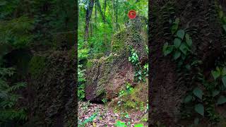 Hidden Shiva temple of Goa