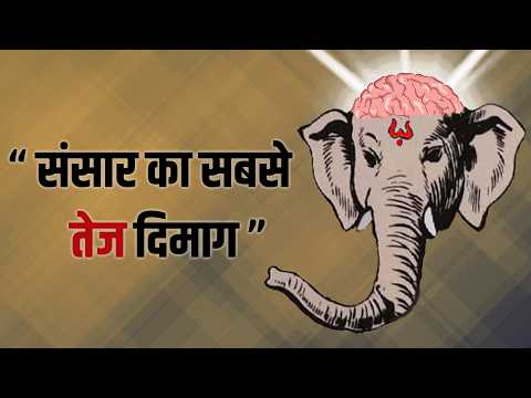 Sabhi Devtaon me Ganesh Ji sabse Intelligent kyu hai | संसार का सबसे शक्तिशाली दिमाग | Ganesh Ji ||