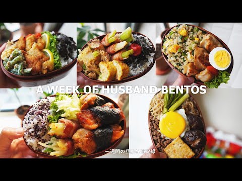 [A WEEK OF HUSBAND BENTOS #10]by wife