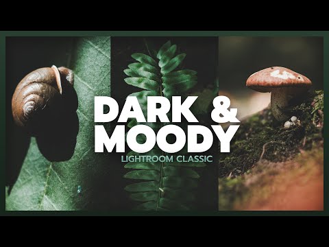 How to Edit DARK MOODY TONES in Lightroom