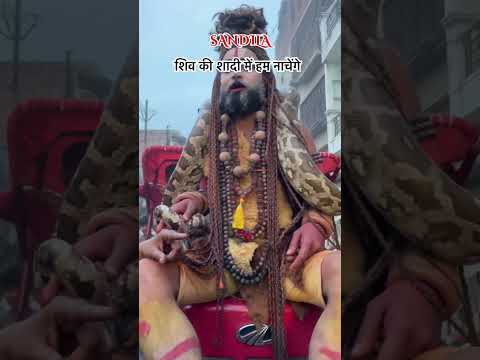 शिव की शादी में हम नाचेंगे 🕉️🔱🙏#sandila #viralvideo #trending #vlog