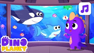 Dance song for kids | Little fish 🐟🐠🐳 | DINO Cartoon Class