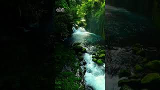 Nature's Inspiration #BeautifulNature #RiverOfLife #NatureInspires #HarmonyOfNature#shortvideo