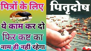 pitra dosh kya hota hai|पितृ दोष क्या हैं और क्यों होता है|pitra dosh ke upay@lifekeeper1983