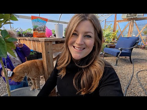 Repotting a Blood Orange Tree & New Concrete at the Garden Center! 🥰🪴🍊 // Garden Answer