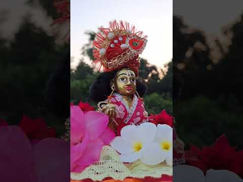 Laddu Gopal Ji 🌸 #youtubeshorts #laddugopal #krishna