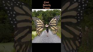 Human sized butterfly wings! #wings #butterfly #monarchbutterfly #diy #costume #cosplay#rhinestones