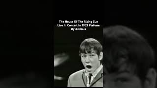 The House Of The Rising Sun Live In Concert In 1963 Perform By Animals…