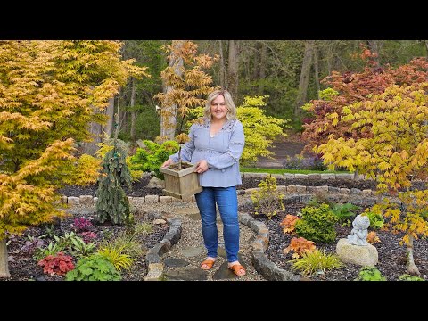 Tour my Japanese Maple Collection & DIY Japanese-Inspired Garden. Spring Garden Tour.