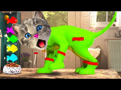 Little Kitten Adventure Educational Video for Kids  Fun & Learning with Cute Kittens