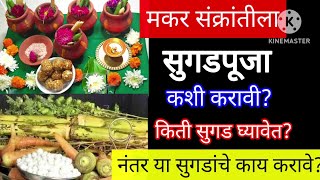 संक्रांतीला सुगड पुजन कसे करावे?किती सुगड घ्यावेत?sugad puja vidhi 2024 | makarsankranti 2024