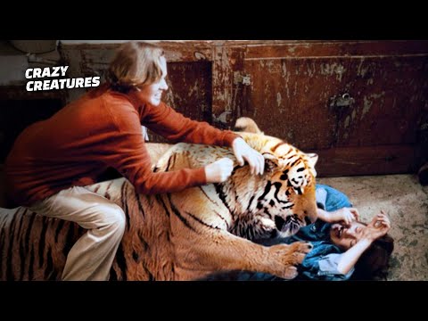 The Deadliest Tiger Attacks of All Time