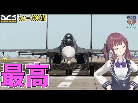 【DCSレビュー】Su-30 mod アップデート！