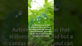 Autumn teaches us ... #AutumnWisdom #SoulAwakening #Reflection #Dreams #NatureInspires #Mindfulness