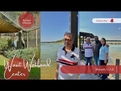 Wasit Wetland Center | Sharjah, UAE | Hidden Gem