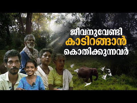 ഏത് നിമിഷവും ജീവന്‍ എടുക്കുമോയെന്ന ഭയം, ഇവര്‍ക്കും വേണം ഒരു ജീവിതം