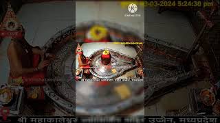 #shortvideo #shri_mahakaleshwar_jyotirlinga_ujjain #trending #darshan