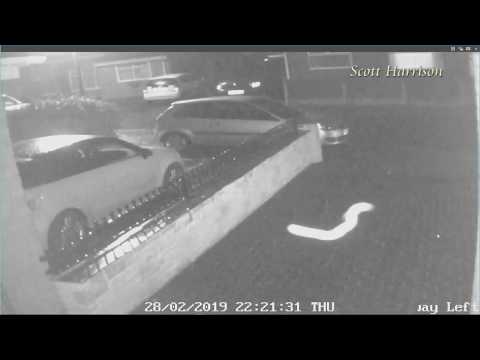 Strange Worm Ghost Orb caught on CCTV