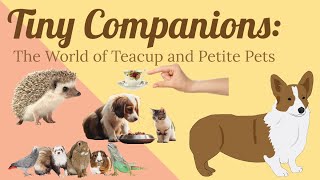 Tiny Companions: The World of Teacup and Petite Pets