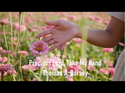 Precious Lord, Take My Hand | Relaxing Piano Hymn with Lyrics