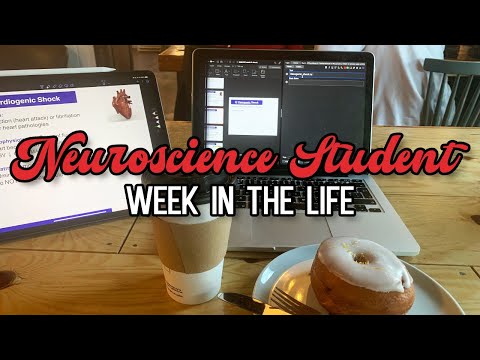 A Week In The Life Of A Neuroscience Student *productive*