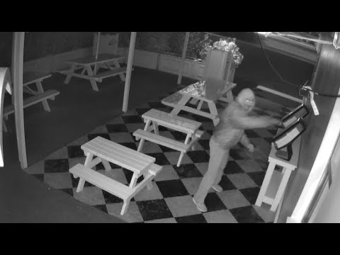 Man caught on camera throwing dumbbell through Dairy Joy window in Tampa