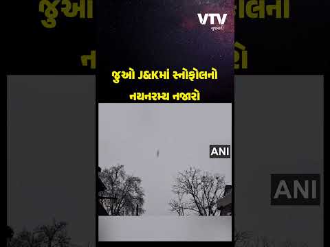 જમ્મુ-કાશ્મીરના પુલવામામાં જોવા મળ્યો હિમવર્ષાનો અદભુત નજારો, જુઓ Video