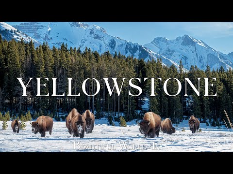 Yellowstone 4K - Witness Frozen Waterfalls, Geysers & Snowy Wilderness - Calming Music For Nerves