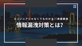 エンジニアじゃなくてもわかるIT用語解説「情報漏洩対策とは？」