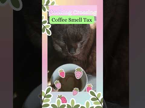 Coffee Smell Tax #cookingcrossing #cat #cuteanimal #seniorcat #blackcat #blackcatshortsvideo