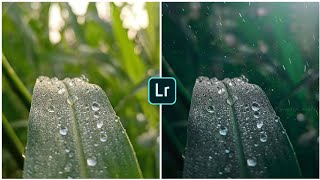 Lr photo editing || photo editing malayalam || Lightroom Photo editing malayalam #Shorts #short