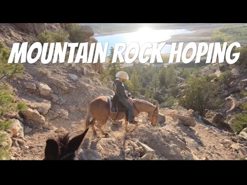 EXTREME MULE RIDING- MOUNTAIN ROCK HOPING