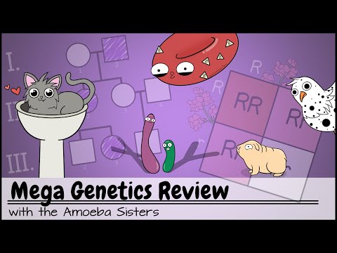 Mega Genetics Review: Mendelian and non-Mendelian Genetics