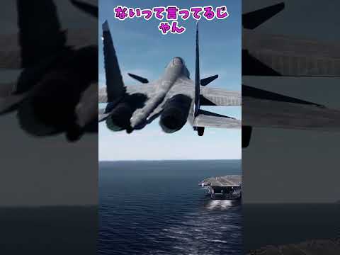 【Su-30】 SuperCarrier  landing！#dcs