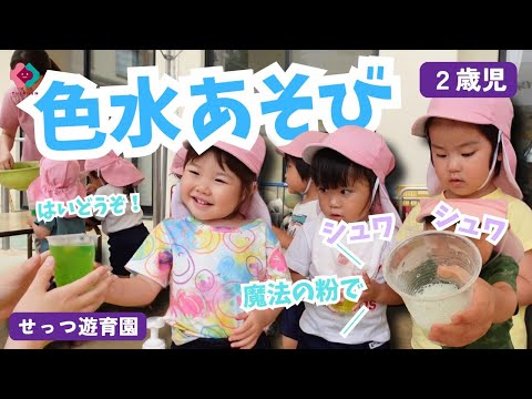 【2歳児】色水あそび