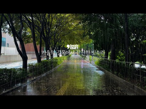 Calm rain ASMR that calms your mind at the crossroads of autumn