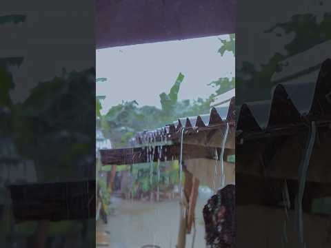 Raining in the Philippines be like 💦🌧️😎 #ytshorts #raininginmanila #raining #rainingPH